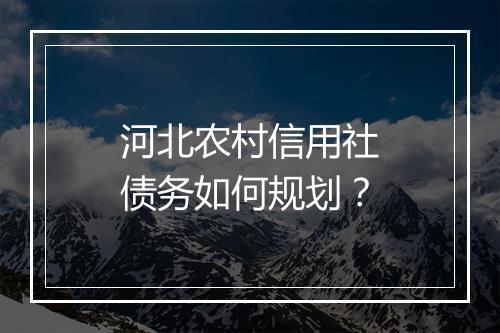 河北农村信用社债务如何规划？