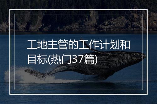 工地主管的工作计划和目标(热门37篇)