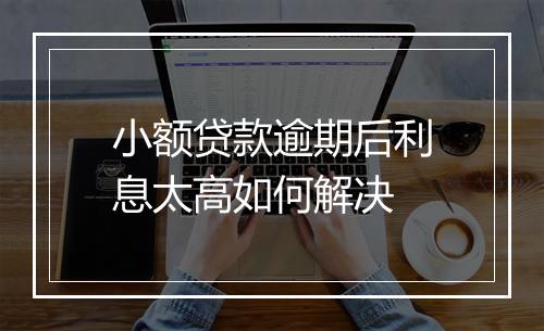 小额贷款逾期后利息太高如何解决
