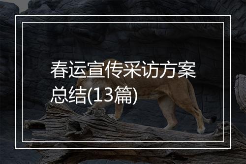 春运宣传采访方案总结(13篇)