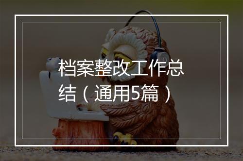 档案整改工作总结（通用5篇）