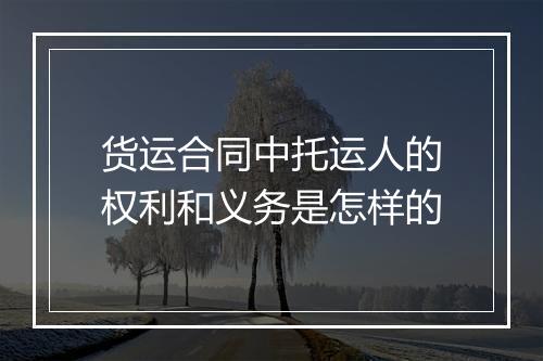 货运合同中托运人的权利和义务是怎样的