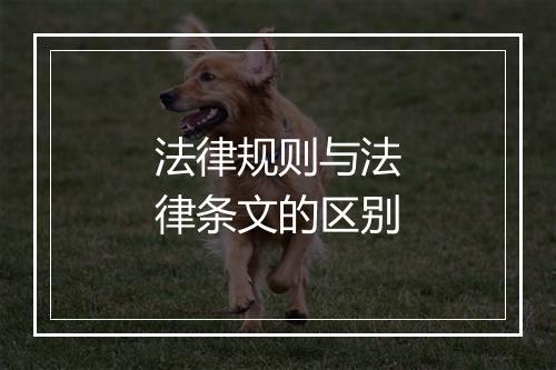 法律规则与法律条文的区别