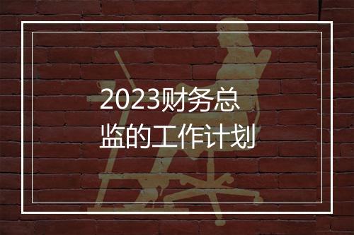 2023财务总监的工作计划