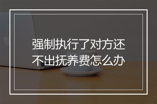 强制执行了对方还不出抚养费怎么办