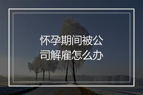 怀孕期间被公司解雇怎么办