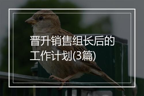 晋升销售组长后的工作计划(3篇)