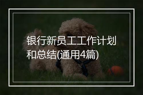 银行新员工工作计划和总结(通用4篇)