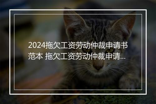 2024拖欠工资劳动仲裁申请书范本 拖欠工资劳动仲裁申请书范本 劳动者申请 图片