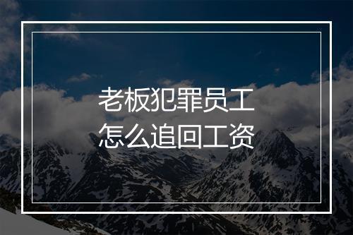 老板犯罪员工怎么追回工资