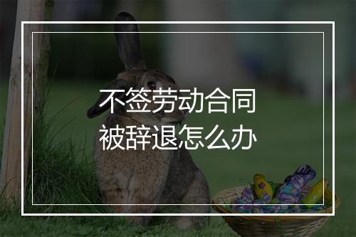 不签劳动合同被辞退怎么办