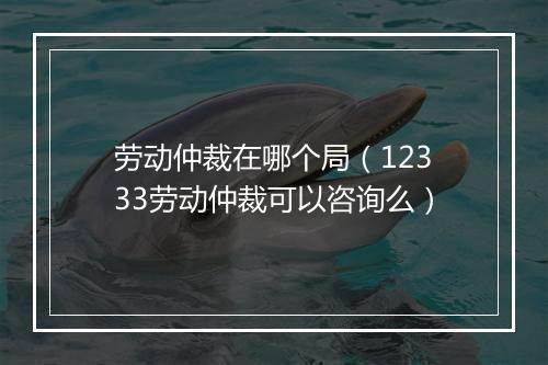 劳动仲裁在哪个局（12333劳动仲裁可以咨询么）