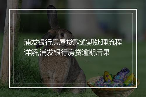 浦发银行房屋贷款逾期处理流程详解,浦发银行房贷逾期后果