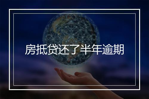房抵贷还了半年逾期