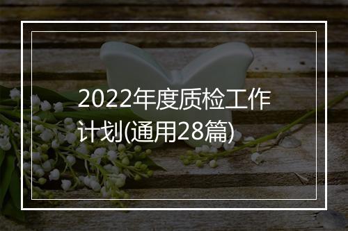2022年度质检工作计划(通用28篇)