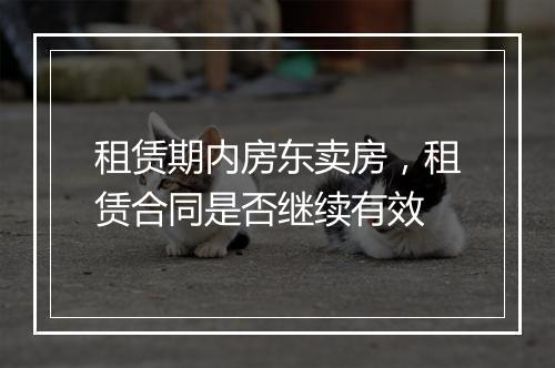 租赁期内房东卖房，租赁合同是否继续有效