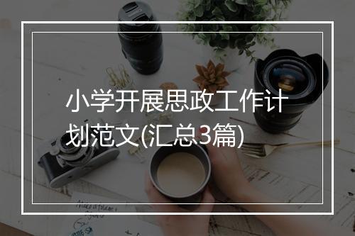 小学开展思政工作计划范文(汇总3篇)