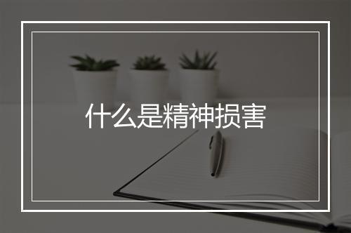 什么是精神损害
