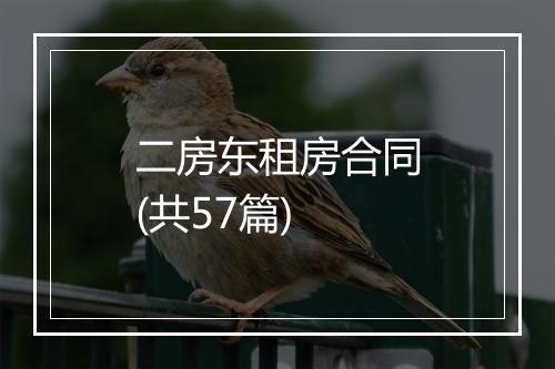 二房东租房合同(共57篇)