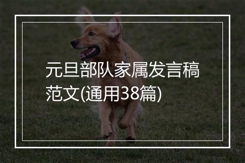 元旦部队家属发言稿范文(通用38篇)