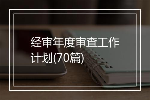 经审年度审查工作计划(70篇)