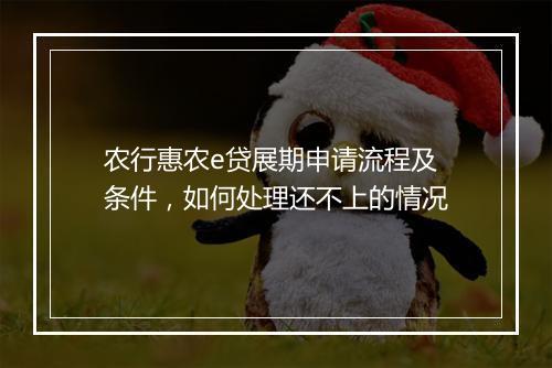 农行惠农e贷展期申请流程及条件，如何处理还不上的情况