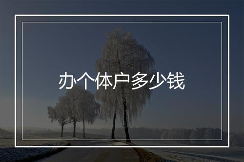 办个体户多少钱