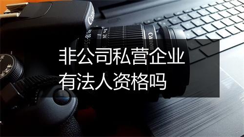 非公司私营企业有法人资格吗