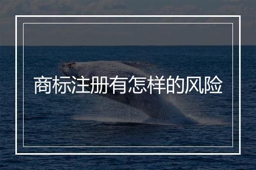 商标注册有怎样的风险