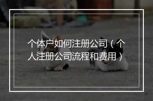 个体户如何注册公司（个人注册公司流程和费用）