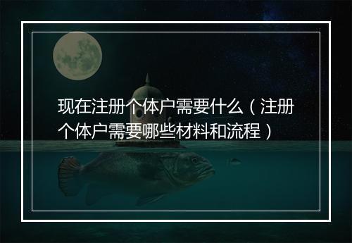 现在注册个体户需要什么（注册个体户需要哪些材料和流程）
