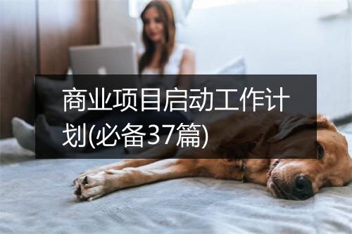 商业项目启动工作计划(必备37篇)