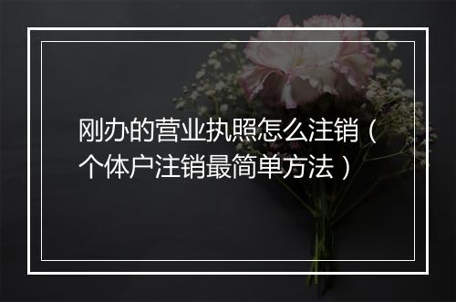 刚办的营业执照怎么注销（个体户注销最简单方法）