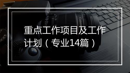 重点工作项目及工作计划（专业14篇）