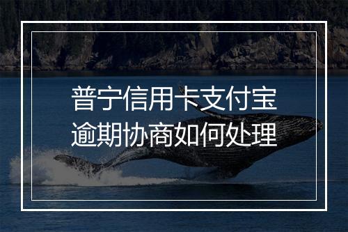 普宁信用卡支付宝逾期协商如何处理