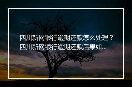 四川新网银行逾期还款怎么处理？四川新网银行逾期还款后果如何？