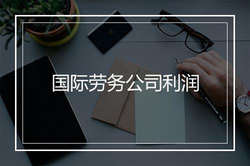 国际劳务公司利润