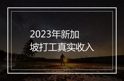 2023年新加坡打工真实收入