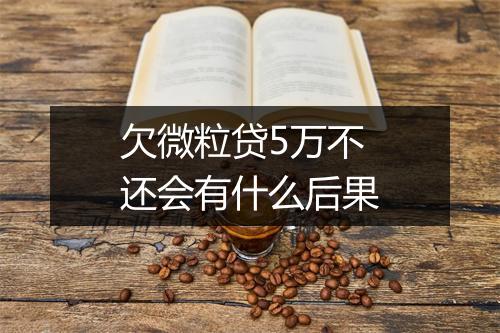 欠微粒贷5万不还会有什么后果