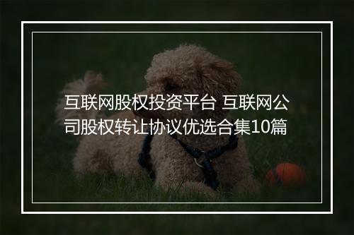 互联网股权投资平台 互联网公司股权转让协议优选合集10篇