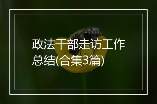 政法干部走访工作总结(合集3篇)