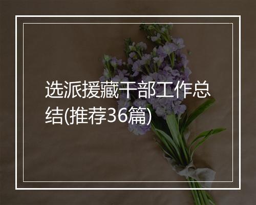 选派援藏干部工作总结(推荐36篇)