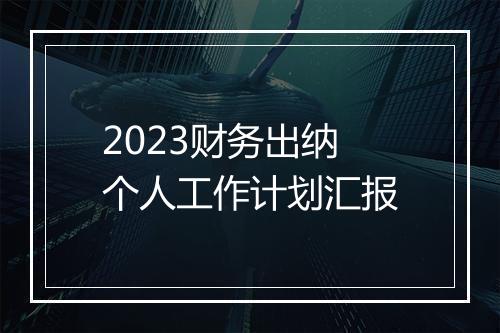 2023财务出纳个人工作计划汇报