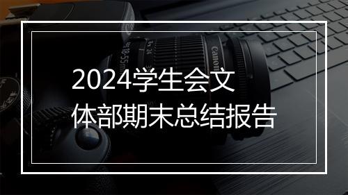 2024学生会文体部期末总结报告