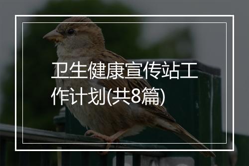 卫生健康宣传站工作计划(共8篇)