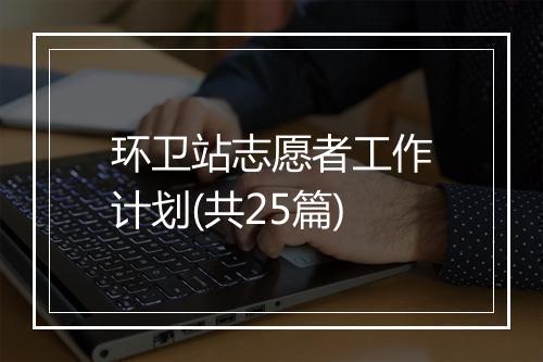 环卫站志愿者工作计划(共25篇)