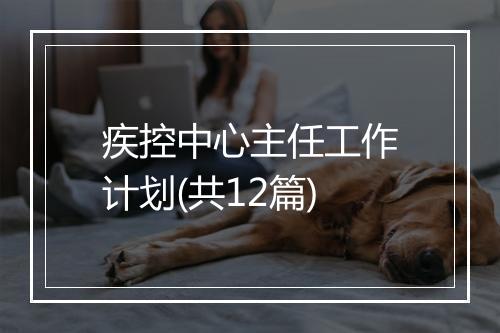 疾控中心主任工作计划(共12篇)