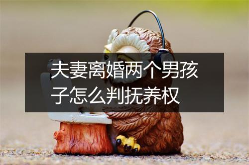夫妻离婚两个男孩子怎么判抚养权