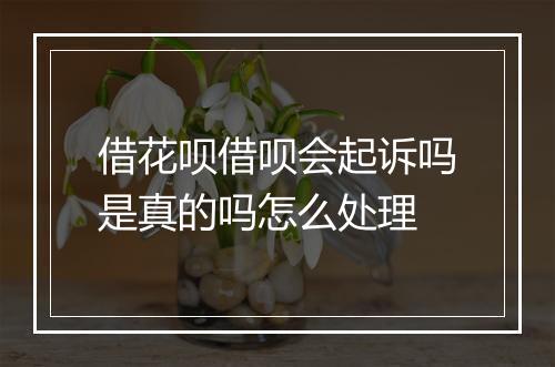 借花呗借呗会起诉吗是真的吗怎么处理
