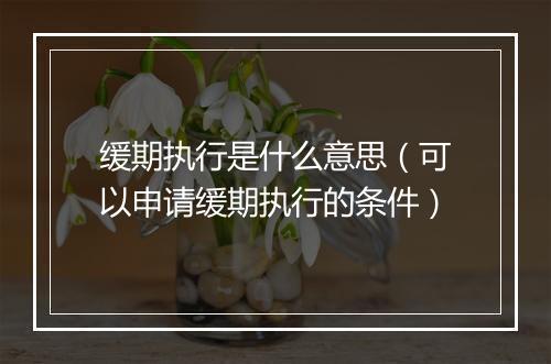 缓期执行是什么意思（可以申请缓期执行的条件）